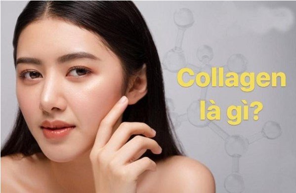 collagen.jpg