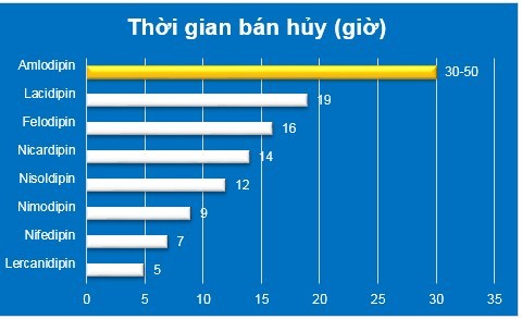 tg-ban-huy-amlopdipin.jpg