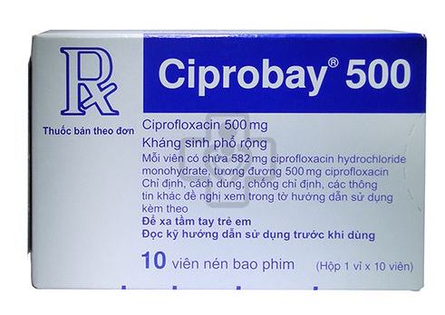 Ciprobay 500mg