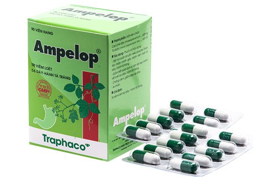 Ampelop