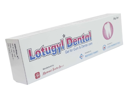 Lotugyl dental