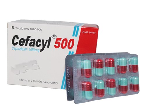 Cefacyl 500