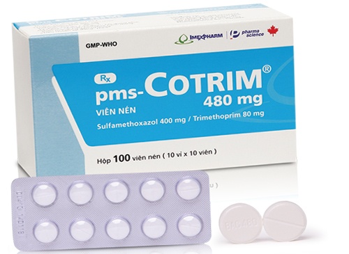 pms-Cotrim 480mg