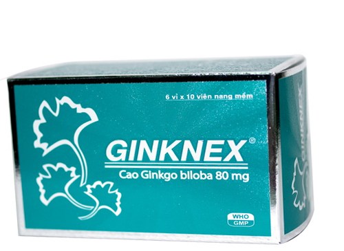 Ginknex