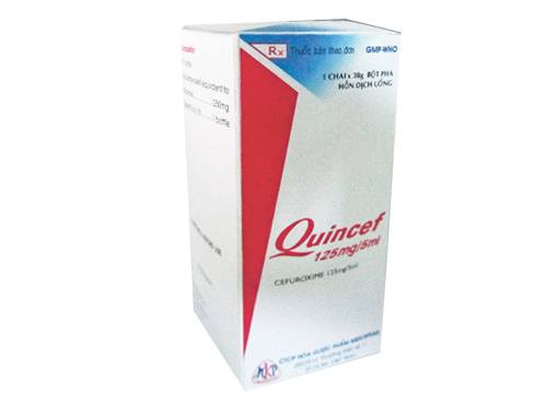 Quincef 125mg/5ml