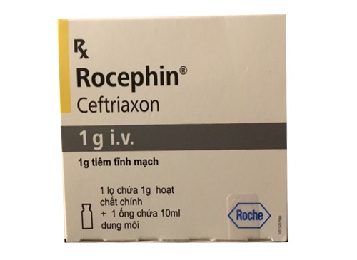 Rocephin 1g I.V.