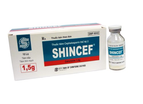 Shincef