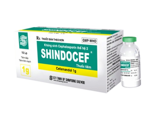 Shindocef 