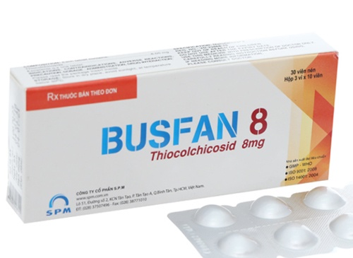 Busfan 8