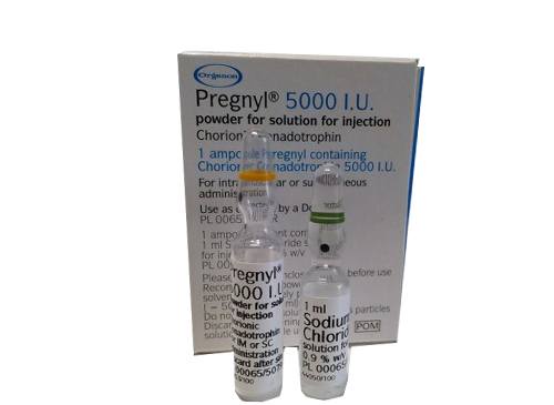 Pregnyl 5000