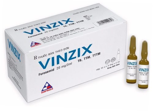 Vinzix
