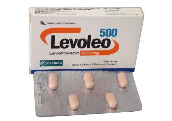 Levoleo 500