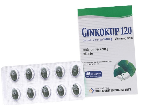 Ginkokup 40