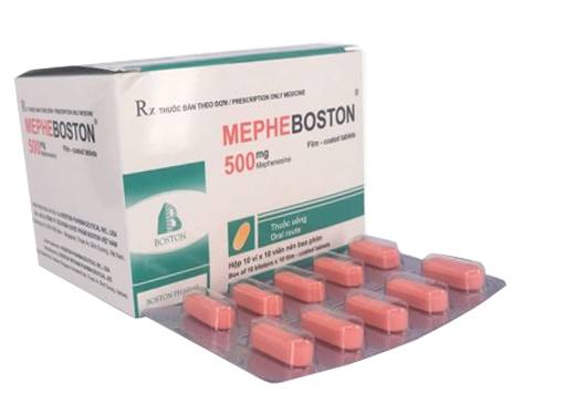 Mepheboston 500