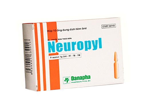 Neuropyl
