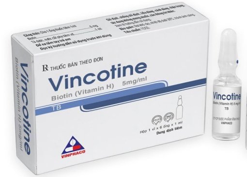 Vincotine
