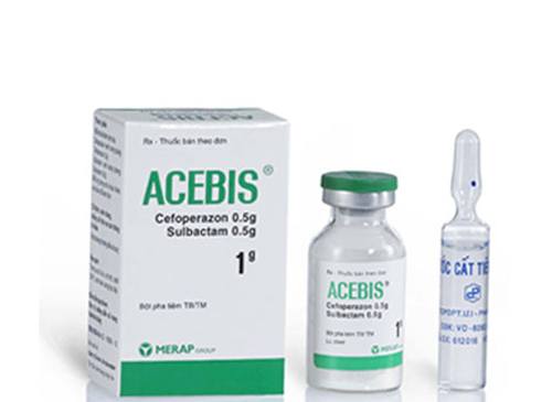 Acebis