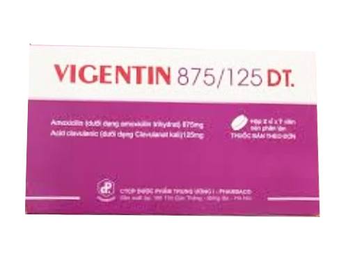 Vigentin 875/125 DT.