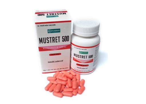 Mustret 500