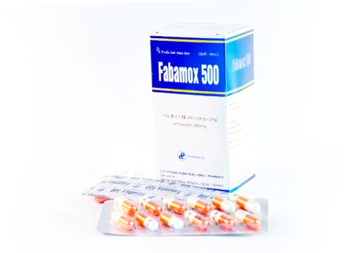 Fabamox 500
