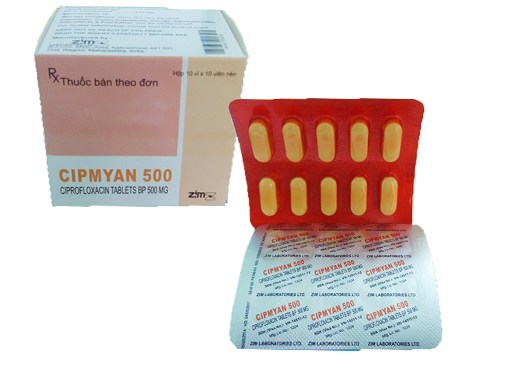 Cipmyan 500