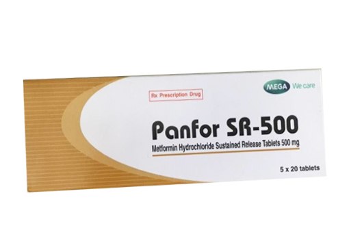 Panfor SR-500