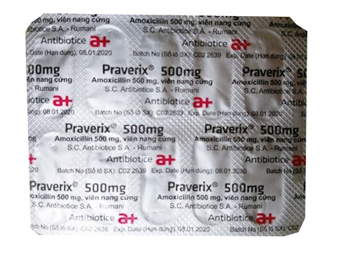 Praverix 500mg