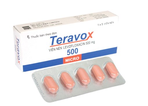 Teravox-500