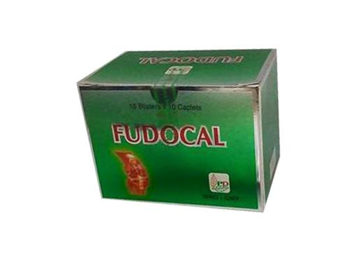 Fudocal