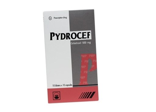 Pydrocef 500