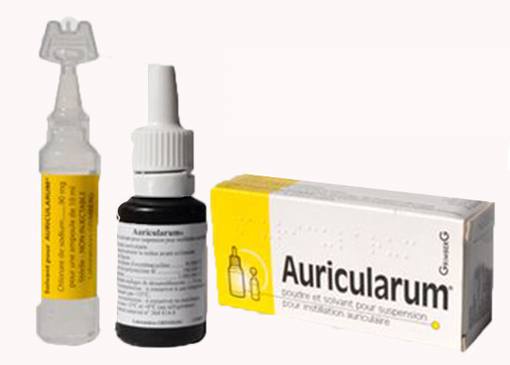 Auricularum