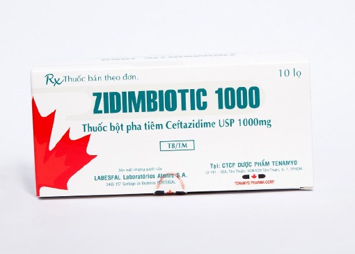 Zidimbiotic 1000