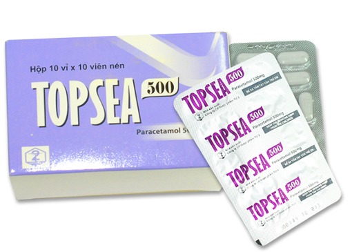 Topsea 500