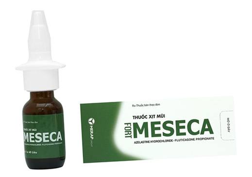 Meseca fort