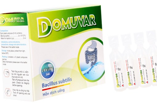 Domuvar