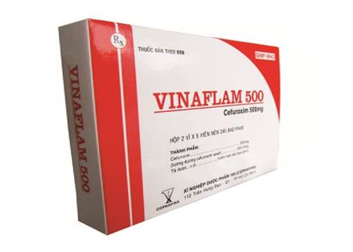Vinaflam 500