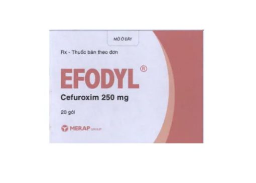 Efodyl