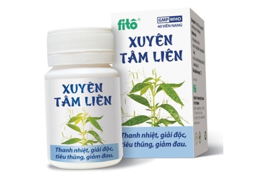 Xuyên tâm liên