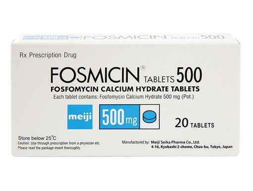 Fosmicin tablets 500