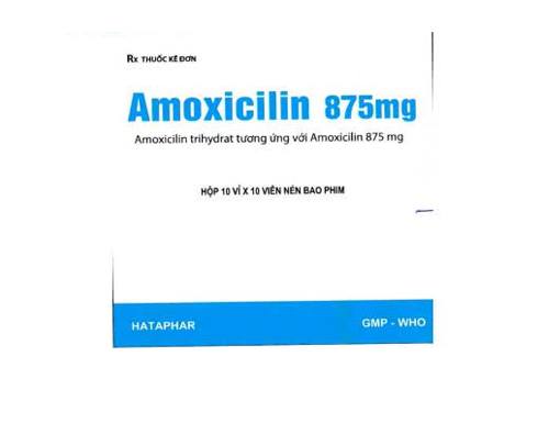Amoxicilin 875 mg