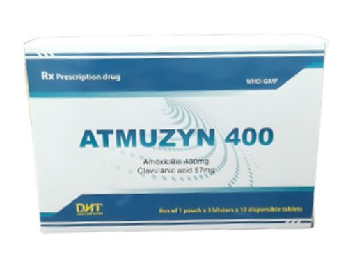 Atmuzyn 400