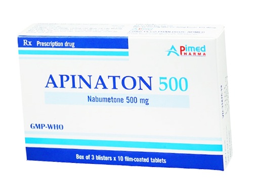 Apinaton 500