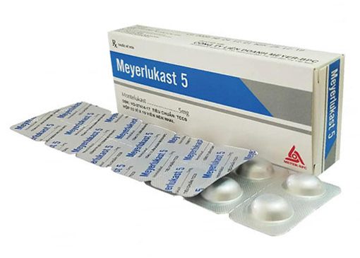 Meyerlukast 5