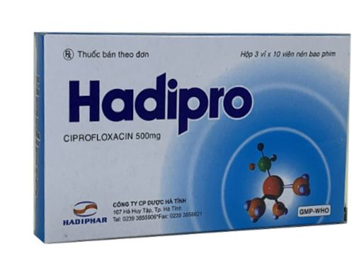 Hadipro
