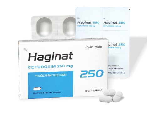 Haginat 250