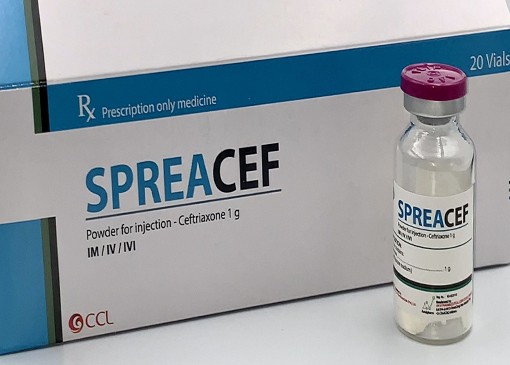 Spreacef