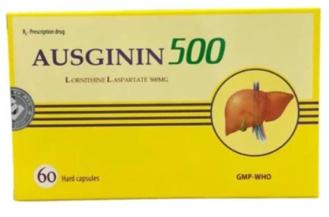 Ausginin