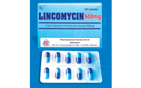 Lincomycin 500mg