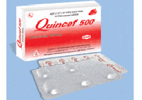 Quincef 500mg