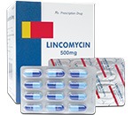 Lincomycin 500mg